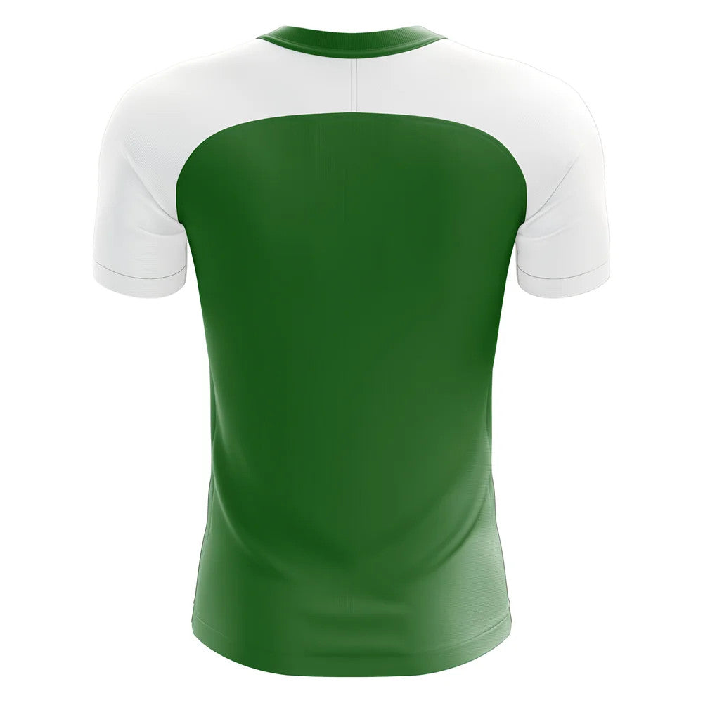 2025-2026 Nigeria Home Concept Football Shirt - Little Boys_1