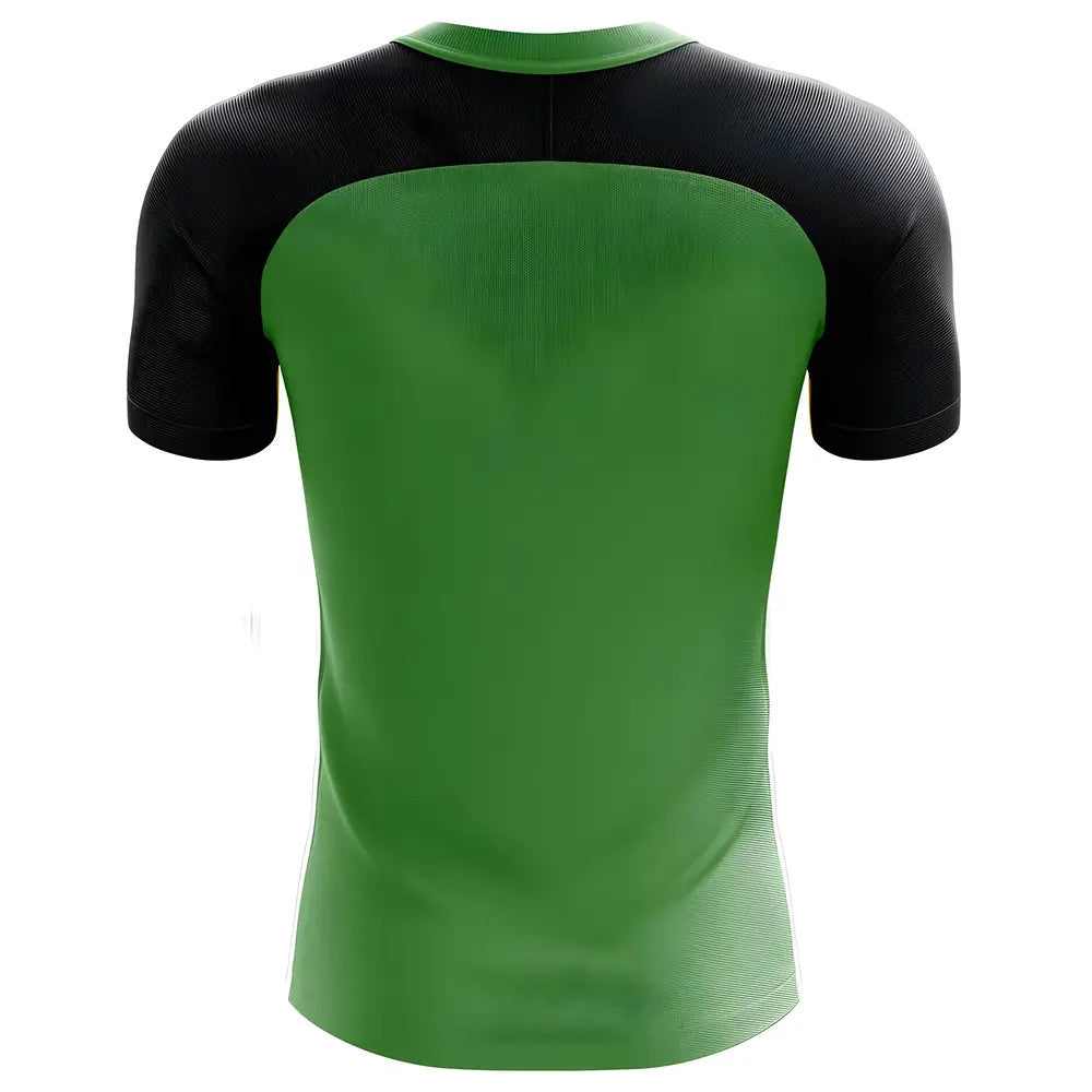 2025-2026 Tanzania Home Concept Football Shirt - Womens_1