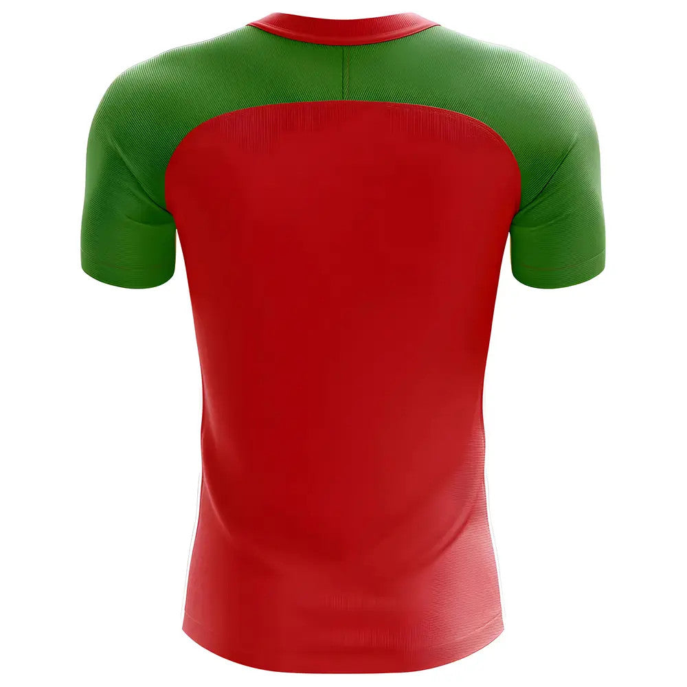 2025-2026 Transnistria Home Concept Football Shirt_1