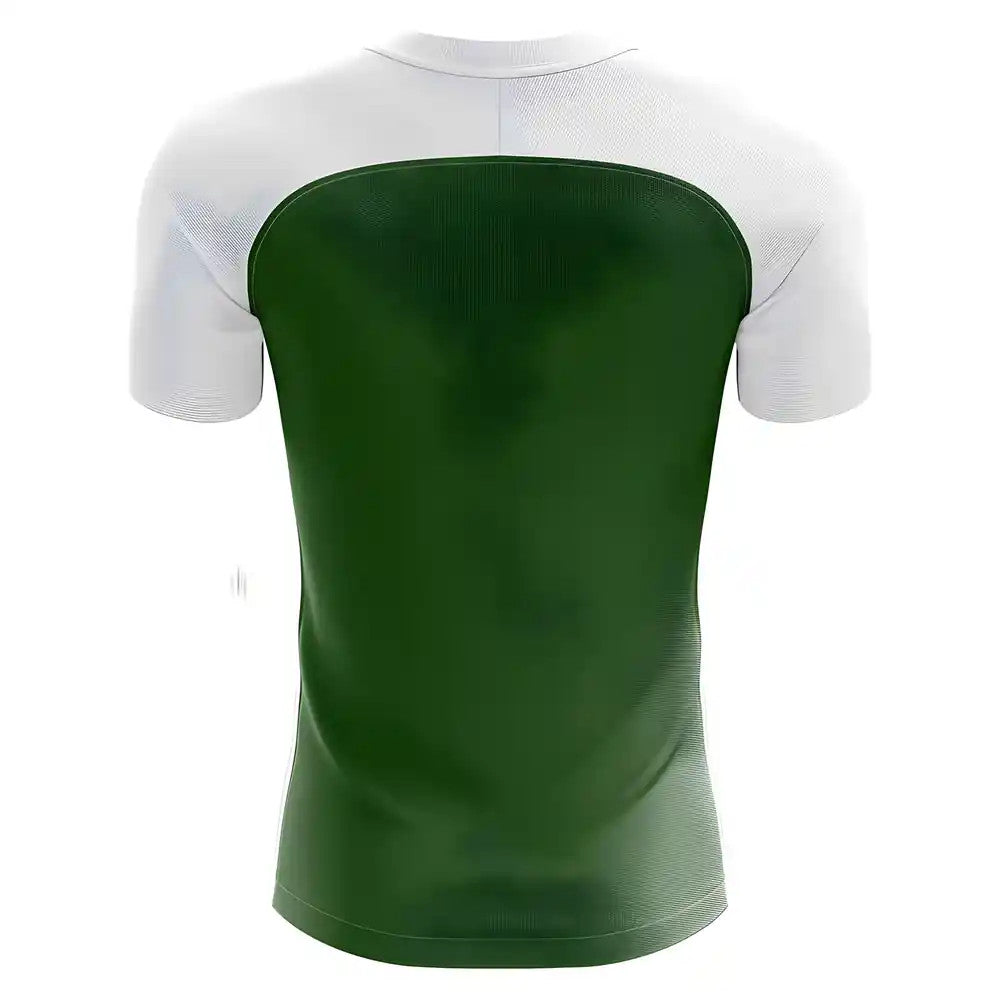 2025-2026 Pakistan Home Concept Football Shirt - Little Boys_1
