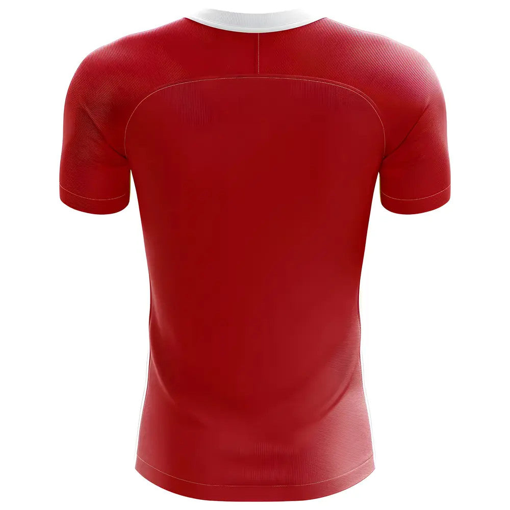 2025-2026 Denmark Flag Concept Football Shirt - Kids (Long Sleeve)_1