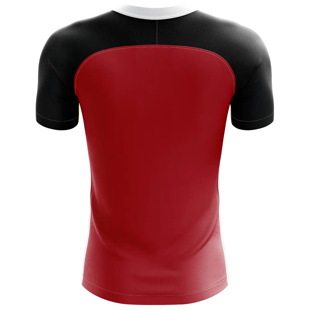 2025-2026 Egypt Flag Concept Football Shirt - Adult Long Sleeve_1