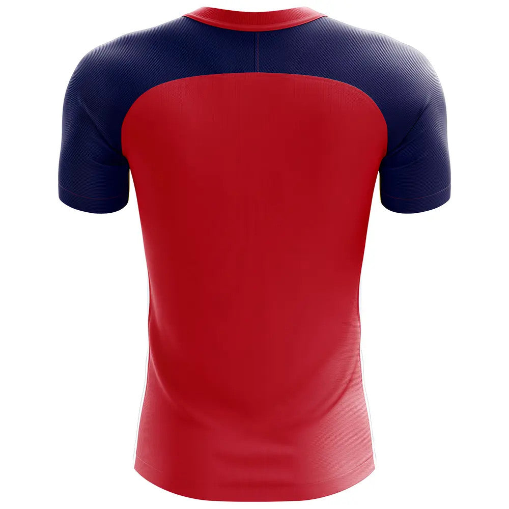 2025-2026 Norway Flag Concept Football Shirt (Kids)_1