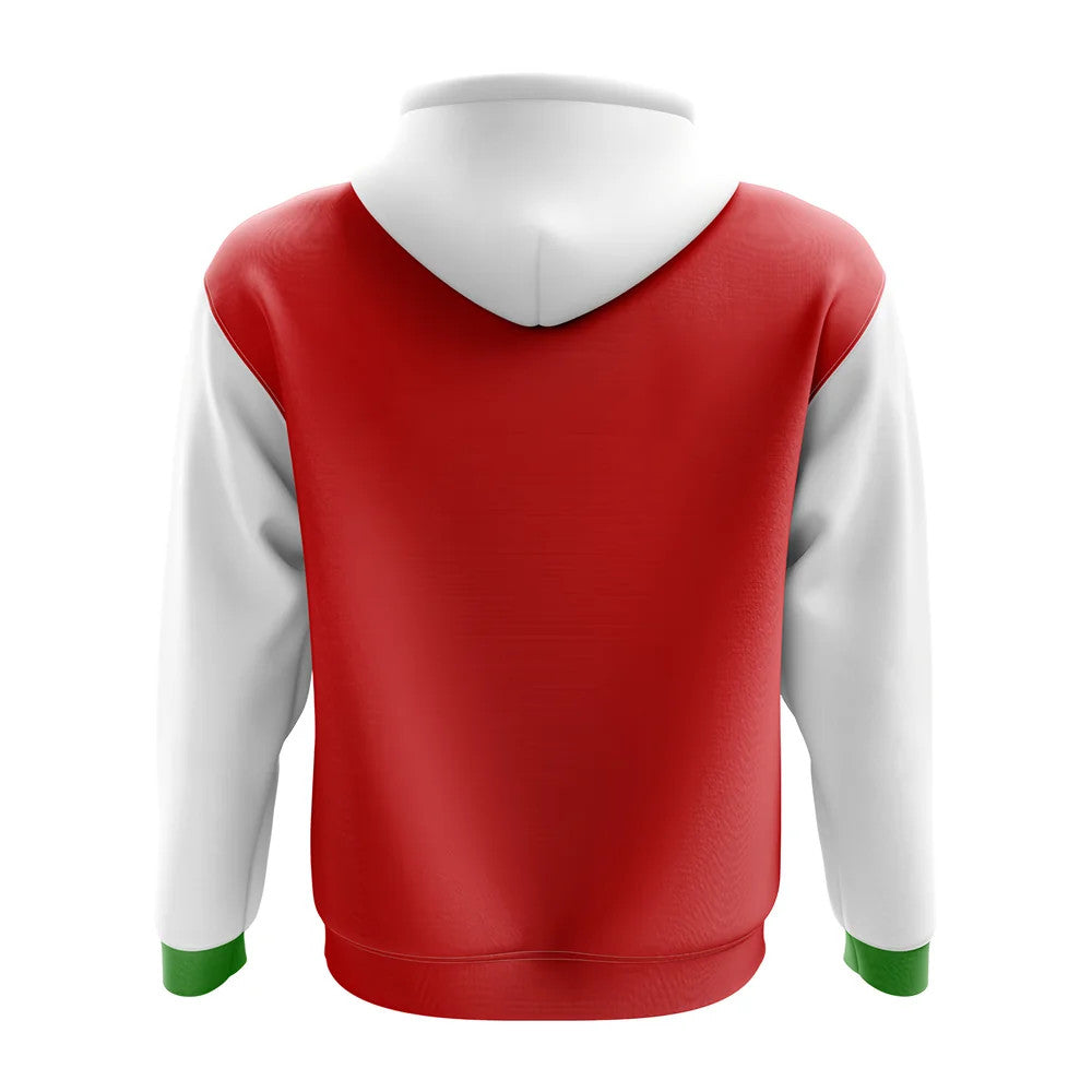 Lebanon Concept Country Football Hoody (Red)_1