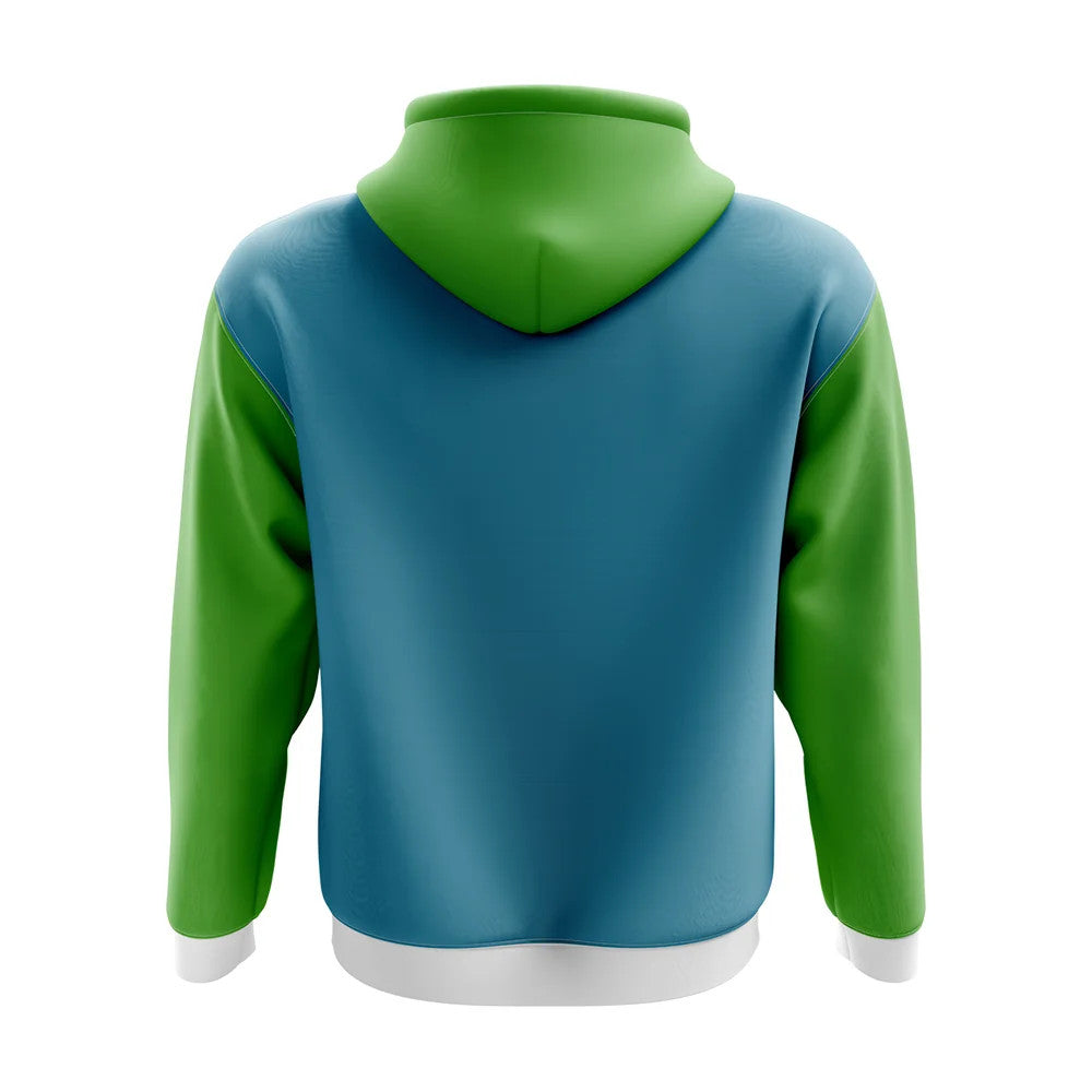 Uzbekistan Concept Country Football Hoody (Sky)_1