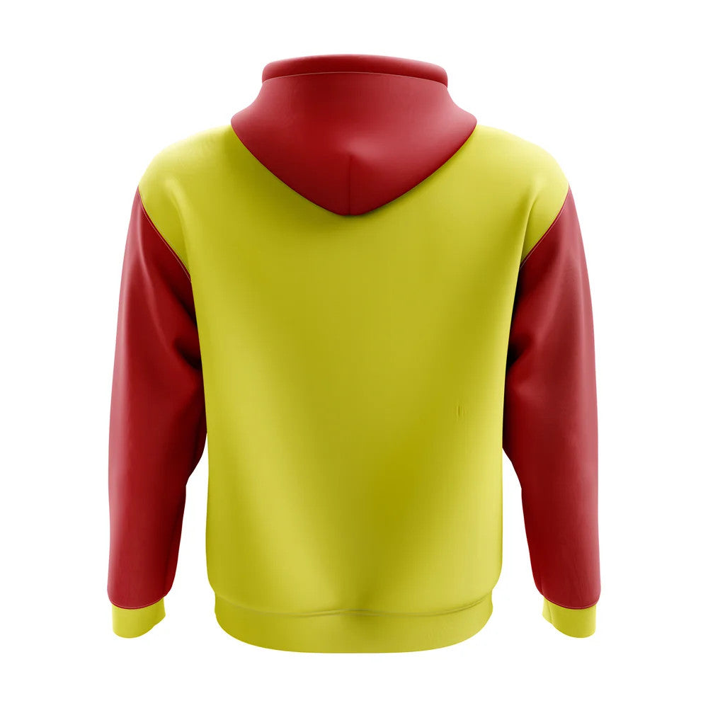 Vietnam Concept Country Football Hoody (Yellow)_1