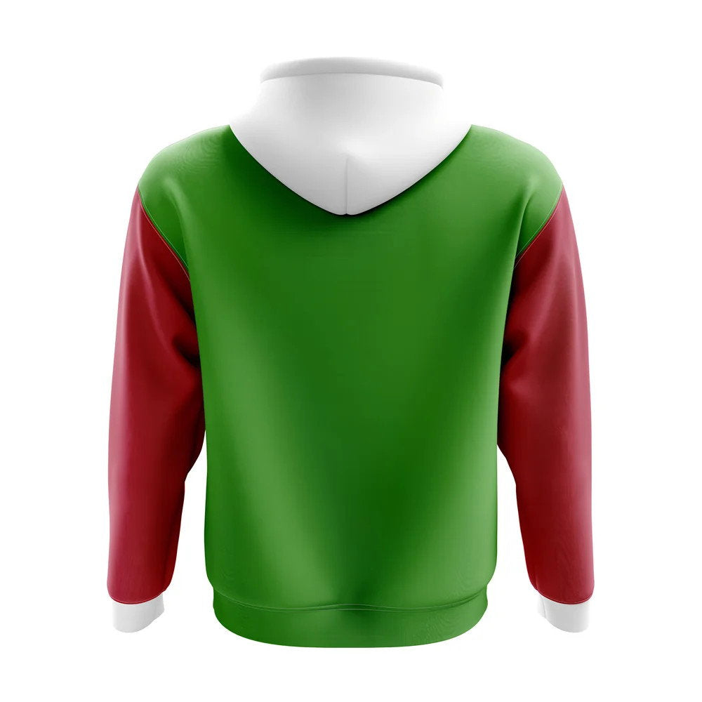 Wales Concept Country Football Hoody (Green)_1