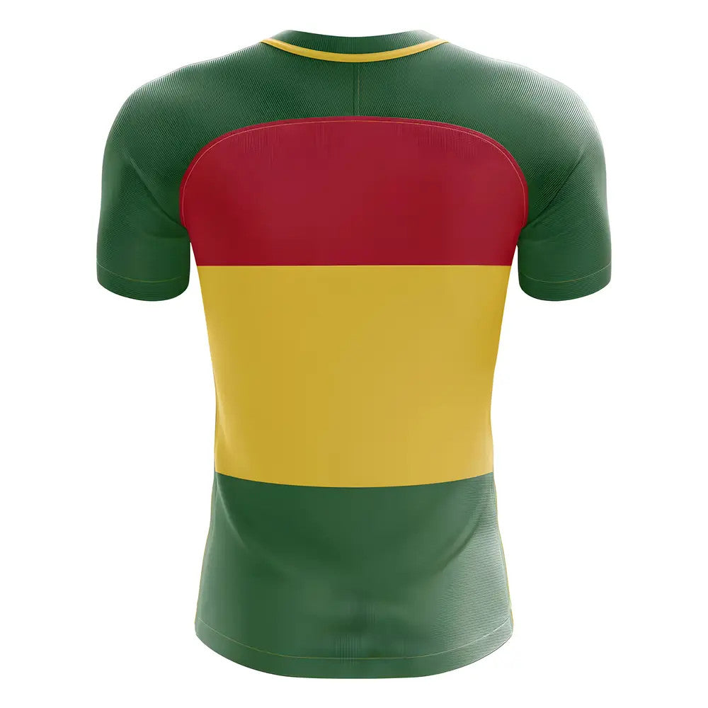 2025-2026 Ghana Flag Concept Football Shirt - Womens_1