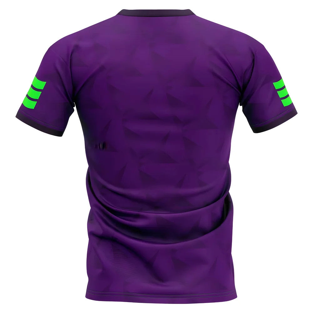 2025-2026 Sanfrecce Hiroshima Home Concept Football Shirt - Kids (Long Sleeve)_1