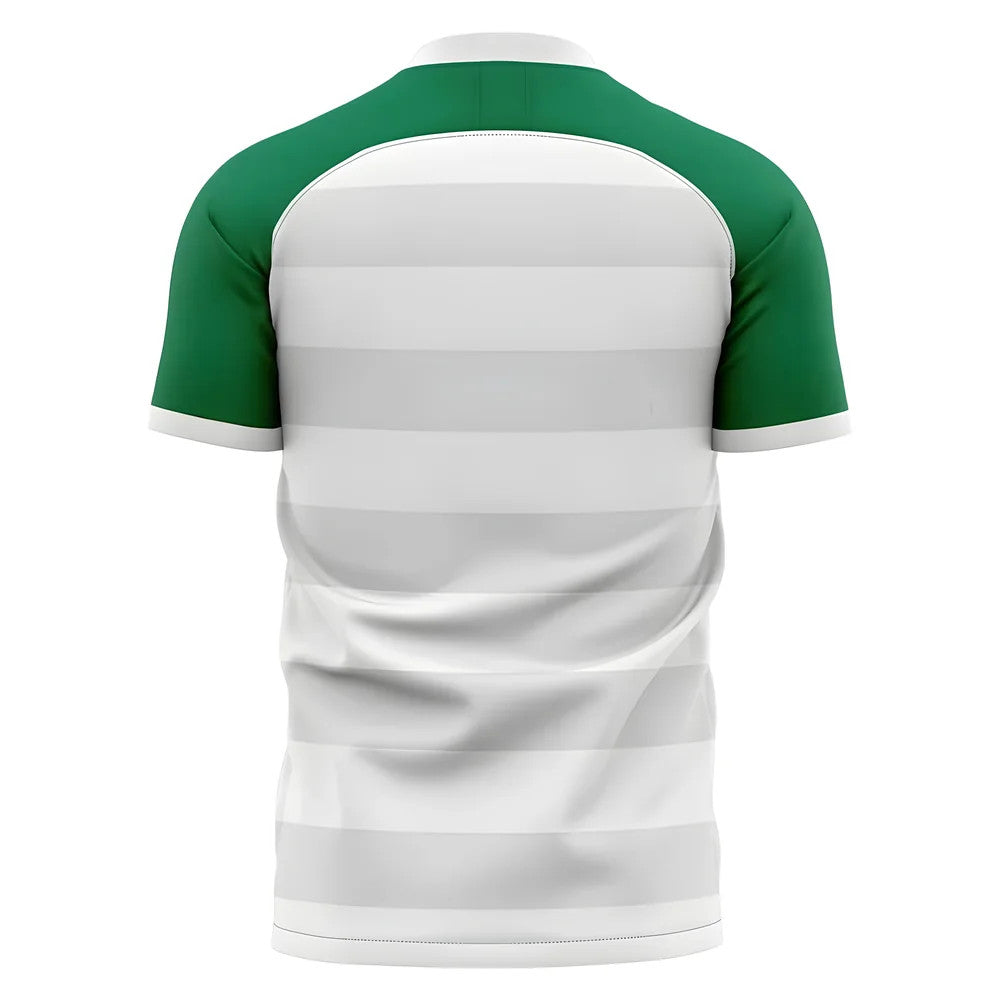 2025-2026 Panathinaikos Away Concept Football Shirt - Kids (Long Sleeve)_1