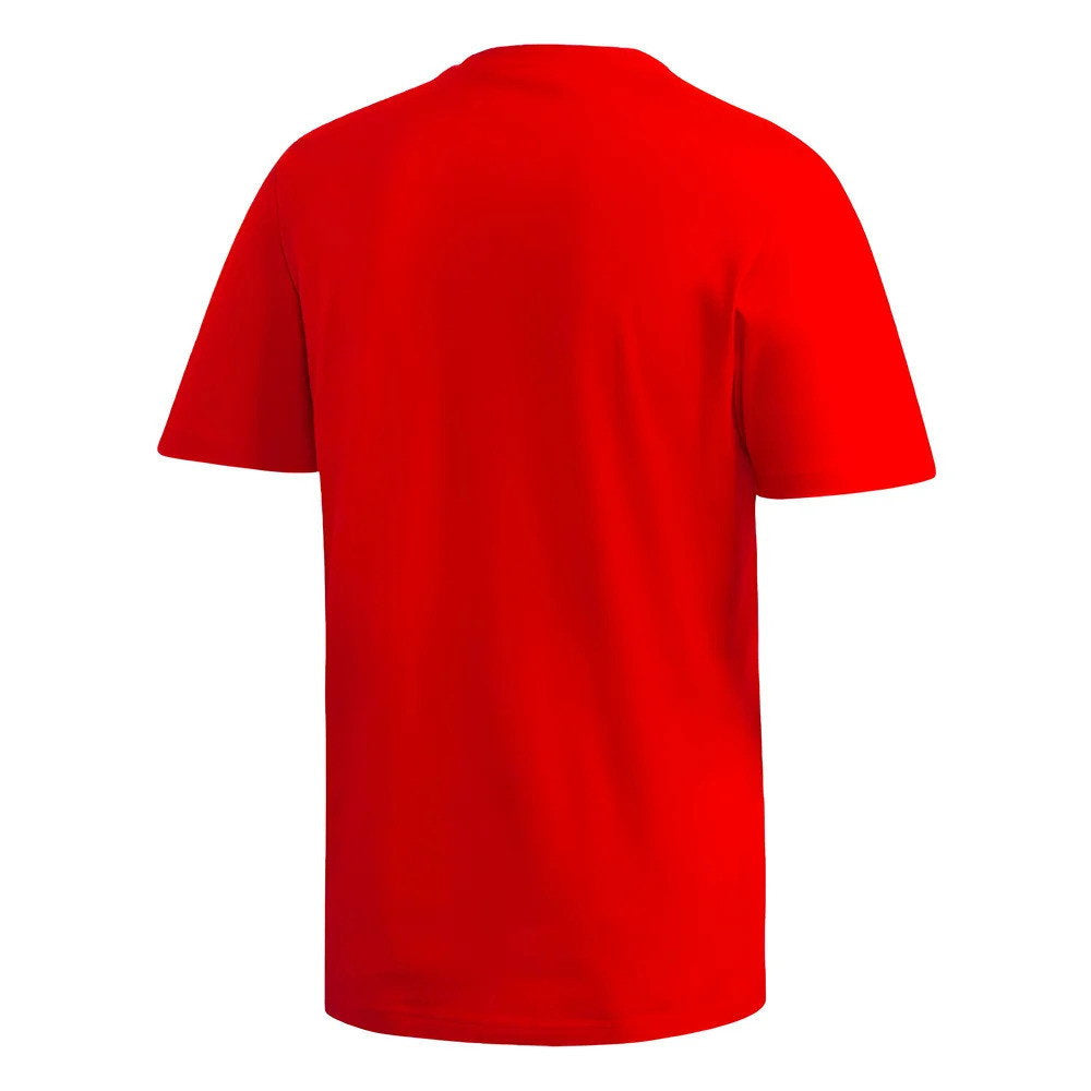 2024-2025 Arsenal DNA Graphic Tee (Red) (Lewis-Skelly 49)_1