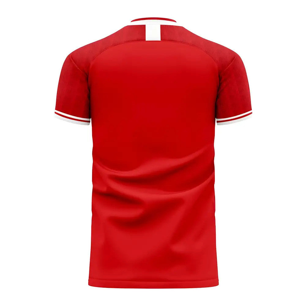 Al Ahly 2025-2026 Home Concept Football Kit (Libero) - Little Boys_1
