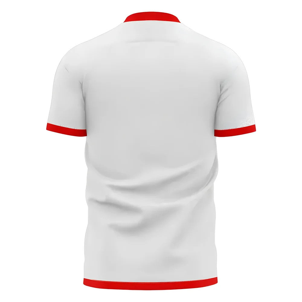 Algeria 2025-2026 Home Concept Football Shirt (Libero)_1