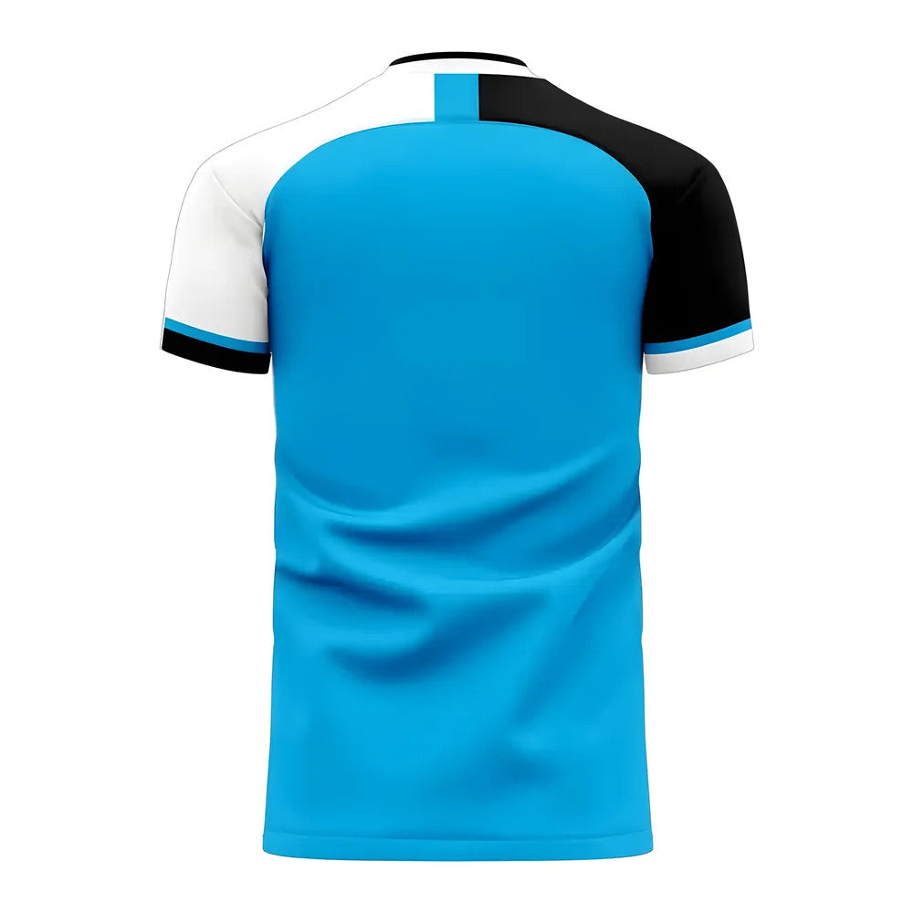Botswana 2025-2026 Home Concept Football Kit (Libero) - Adult Long Sleeve_1