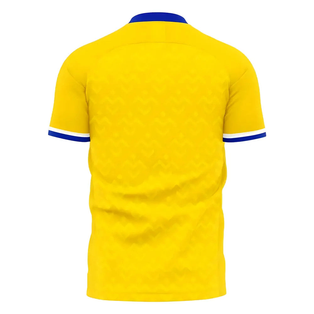 Everton de Chile 2025-2026 Third Concep Shirt (Libero) - Kids_1