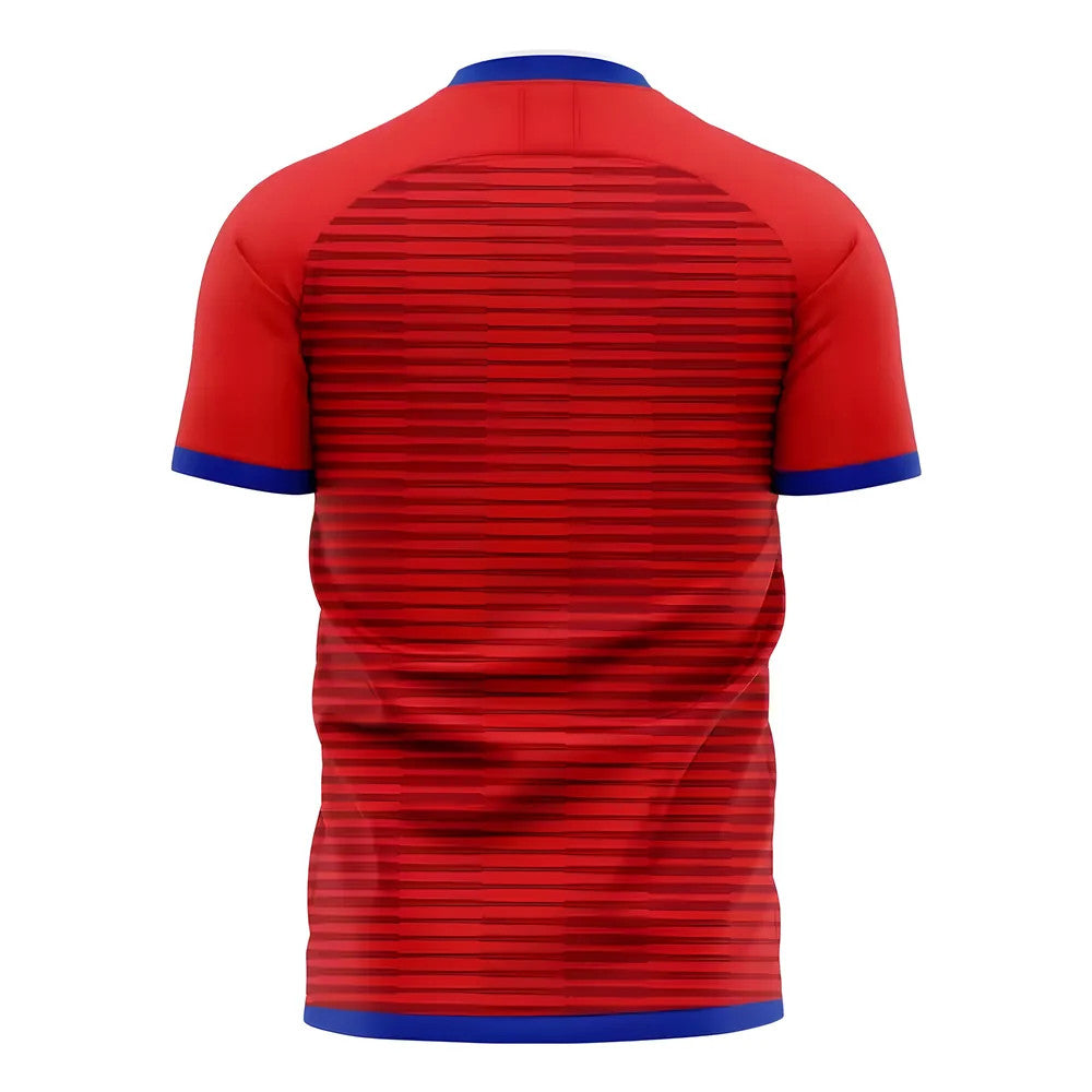 South Korea 2025-2026 Home Concept Football Kit (Libero)_1
