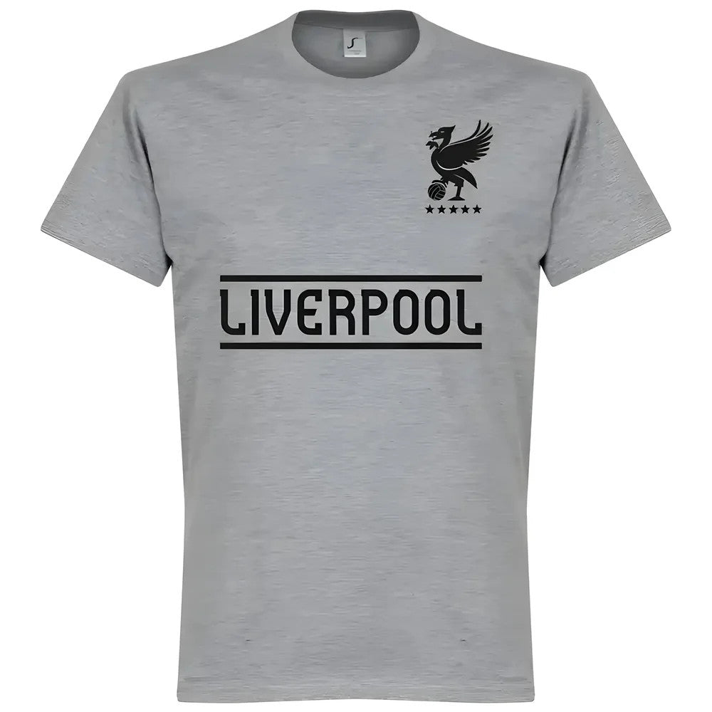 Liverpool Team KIDS T-Shirt - Grey_1