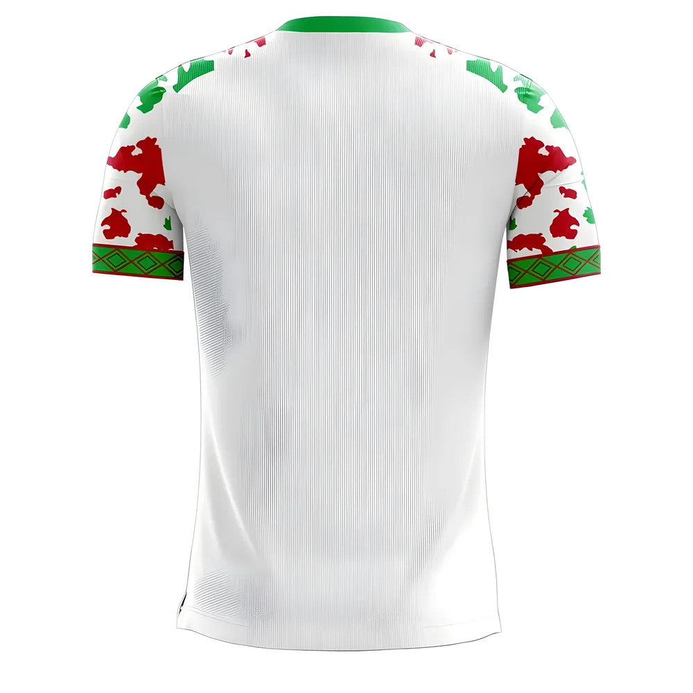 Myanmar 2025-2026 Home Concept Football Kit (Libero)_1