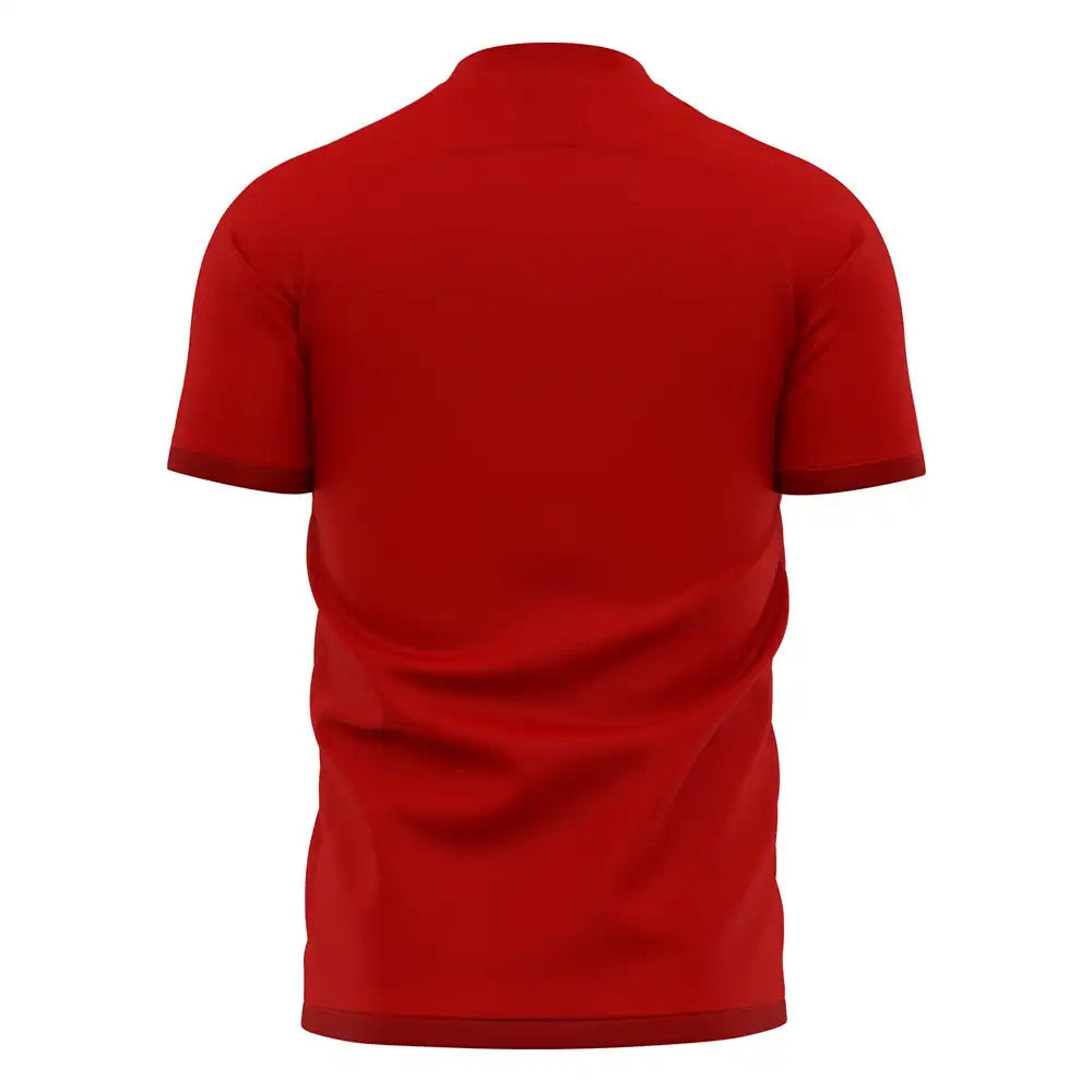 Nurnberg 2025-2026 Home Concept Football Kit (Libero) - Little Boys_1