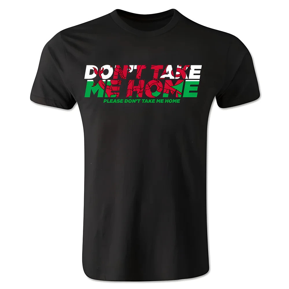 Dont Take Me Home - Wales T-Shirt (Black) - Kids_0