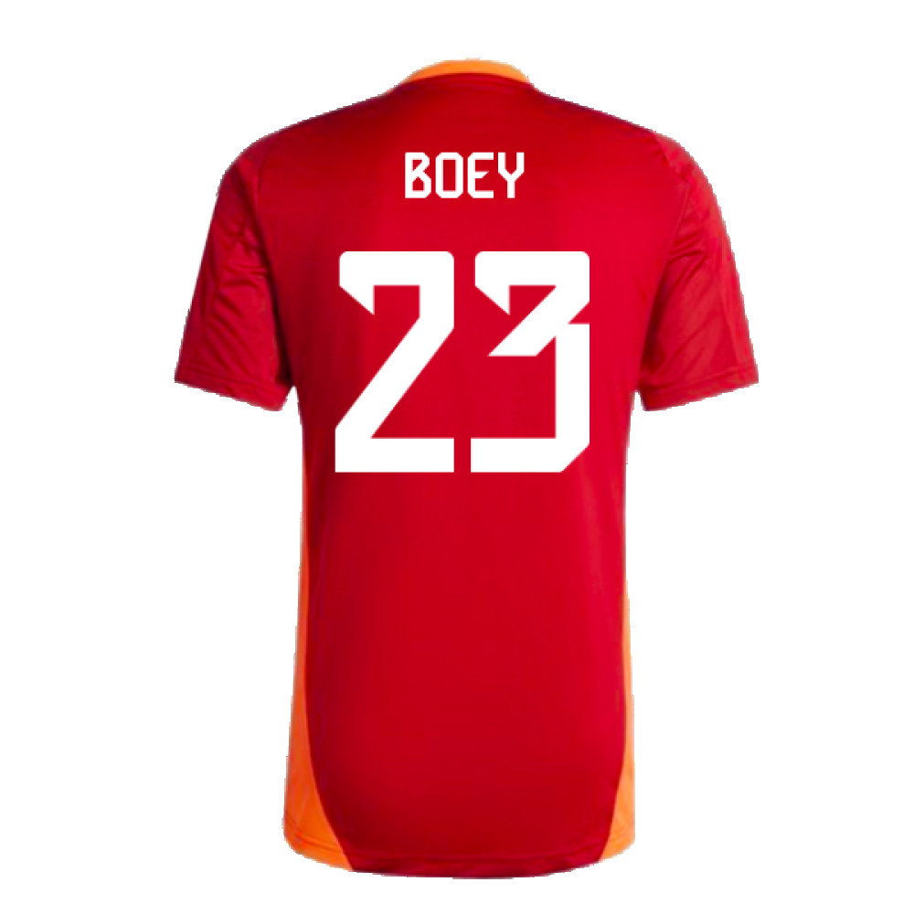 2024-2025 Bayern Munich Training Shirt (Red) (Boey 23)_2