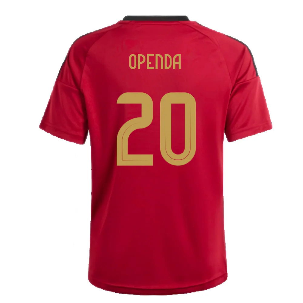 2024-2025 Belgium Home Fan Shirt (Kids) (Openda 20)_2