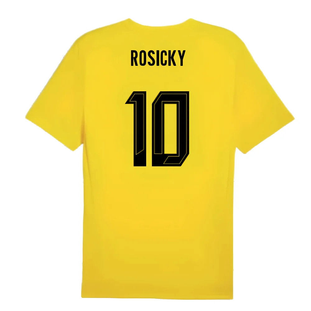 2024-2025 Borussia Dortmund Training Shirt (Yellow) - Kids (Rosicky 10)_2