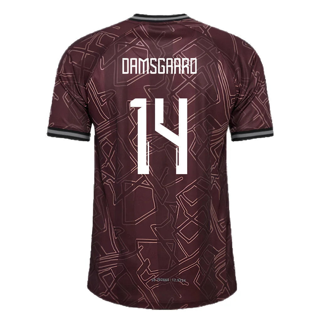 2024-2025 Denmark Special Edition Hummel x Halo SS Shirt (Damsgaard 14)_2