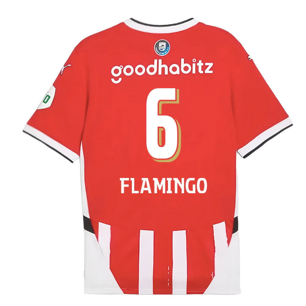 2024-2025 PSV Eindhoven Home Shirt (Flamingo 6)_2