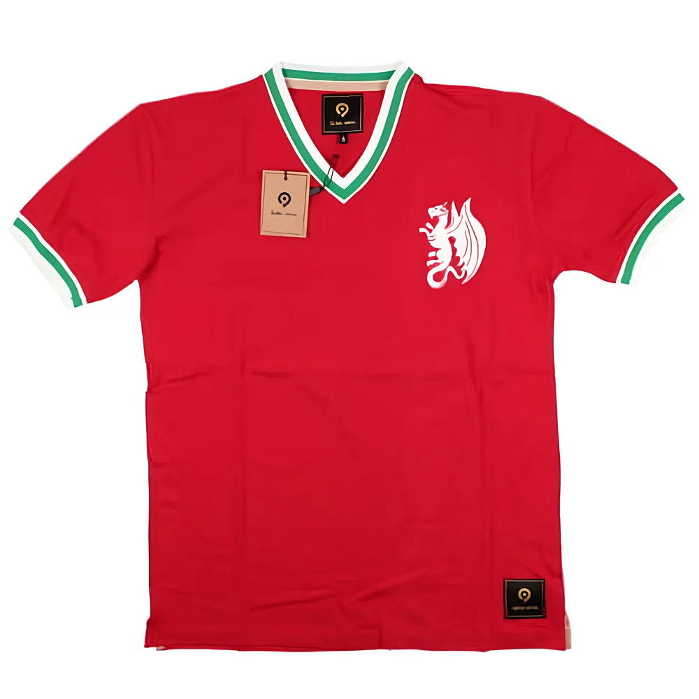 False Nein Wales Home Vintage Shirt (WILLIAMS 5)_3