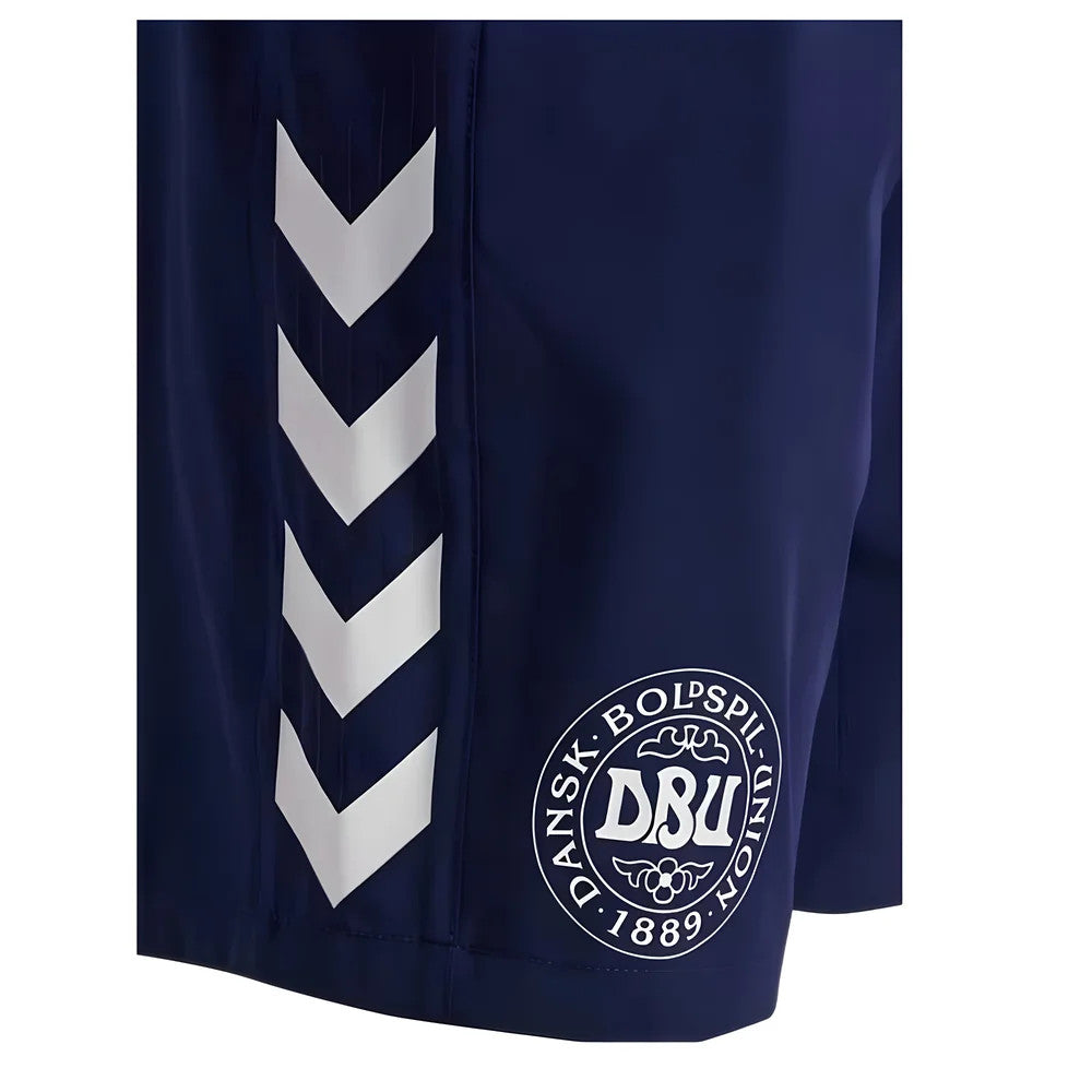2024-2025 Denmark Training Shorts (Marine)_1