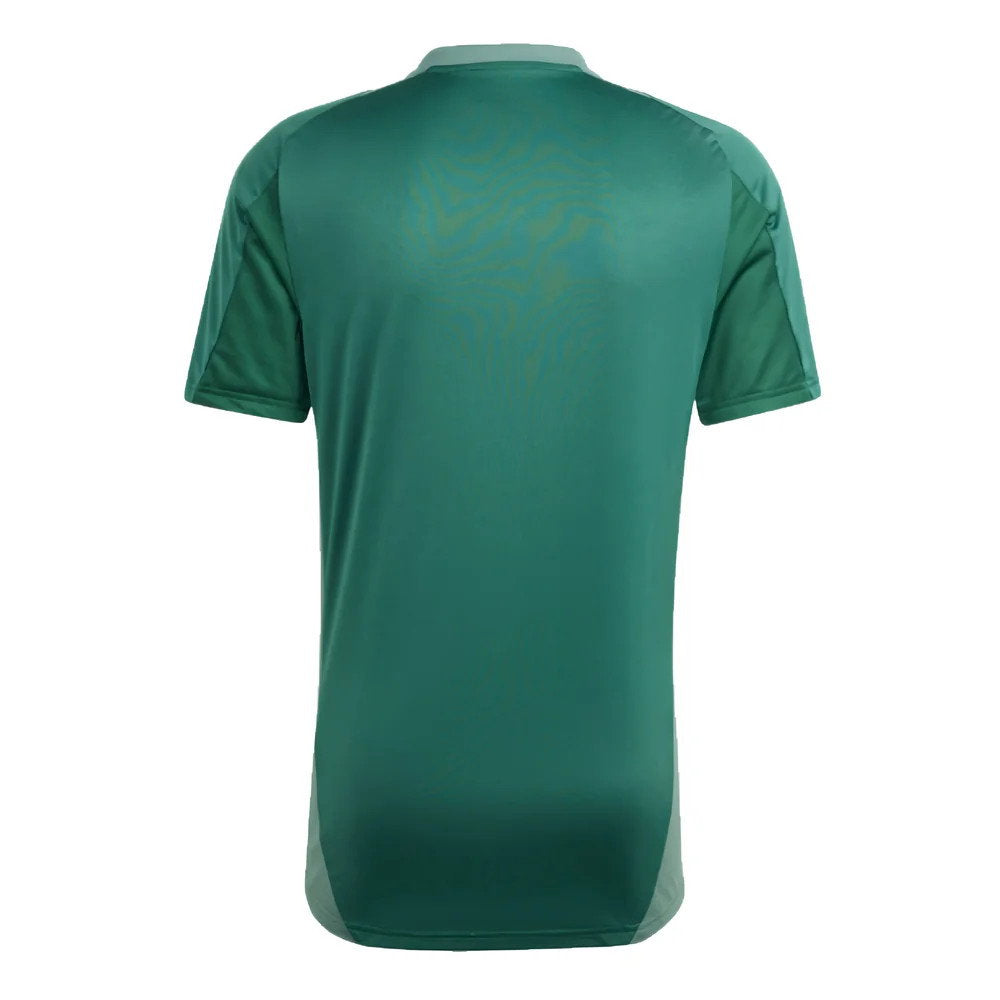 2024-2025 Algeria Training Jersey (Green) (Bensebaini 21)_1