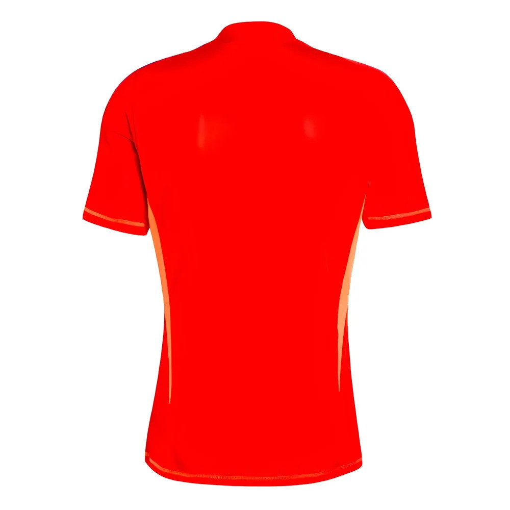 2024-2025 Juventus Home Goalkeeper Shirt (Red) (Perin 36)_1