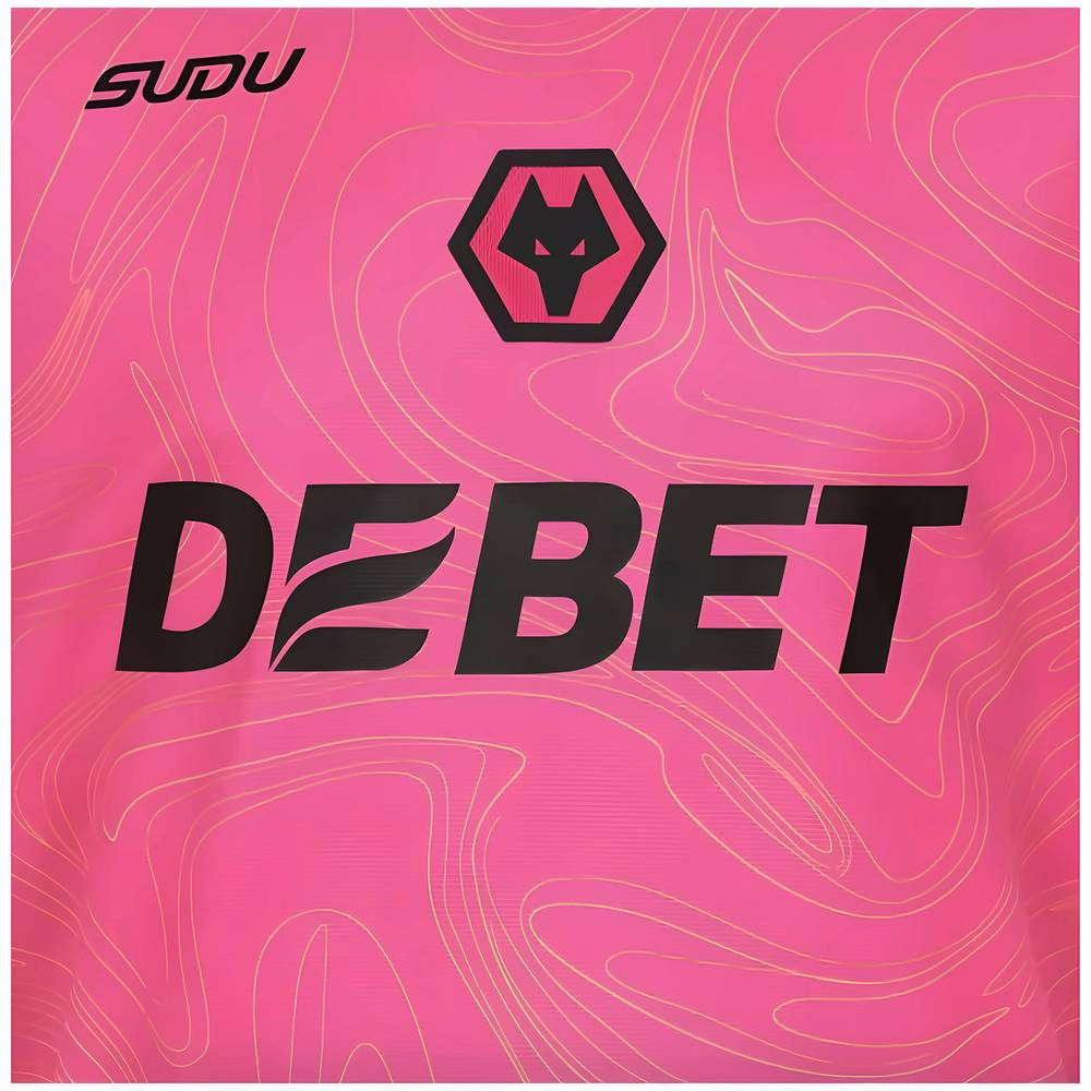 2024-2025 Wolves Goalkeeper Shirt (Pink) (Jose Sa 1)_4