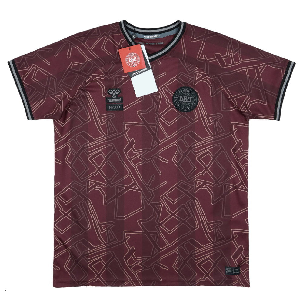 2024-2025 Denmark Special Edition Hummel x Halo Shirt (Kids) (M.Laudrup 10)_3