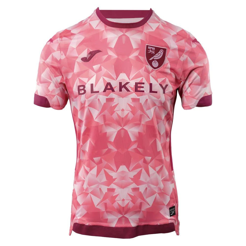 2025-2026 Norwich City Third Shirt_0