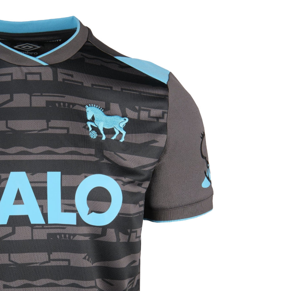 2025-2026 Ipswich Town Third Shirt (Womens)_1