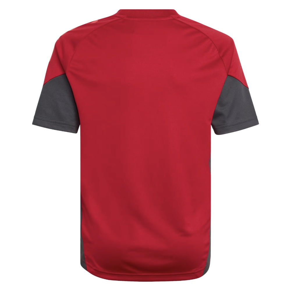 2025-2026 Liverpool Training Jersey (Strawberry Red) - Kids_1