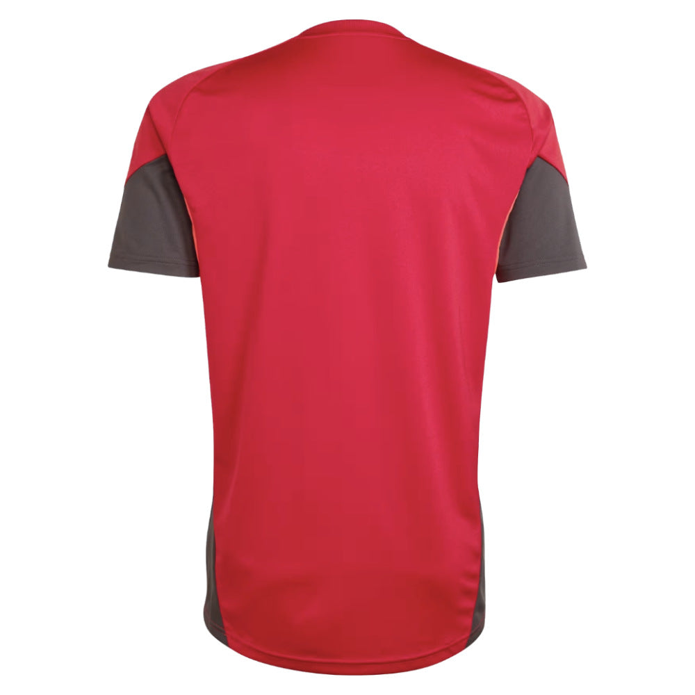 2025-2026 Liverpool Training Jersey (Strawberry Red)_1