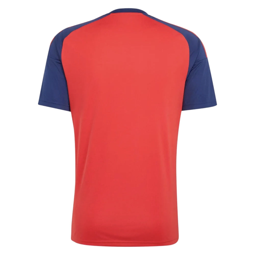 2026-2027 Spain Home Fan Jersey (Olmo 10)_1