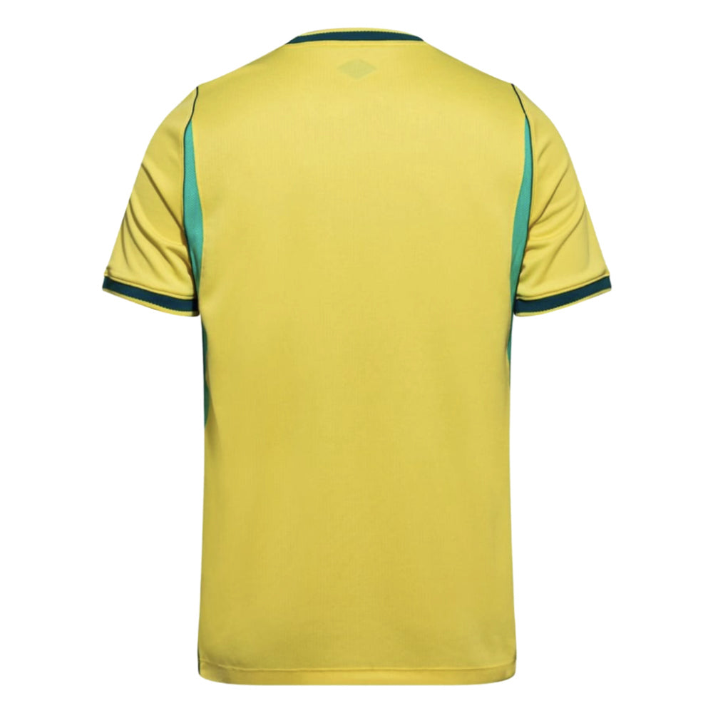 2026-2027 Brazil Home Shirt (Fabinho 17)_1
