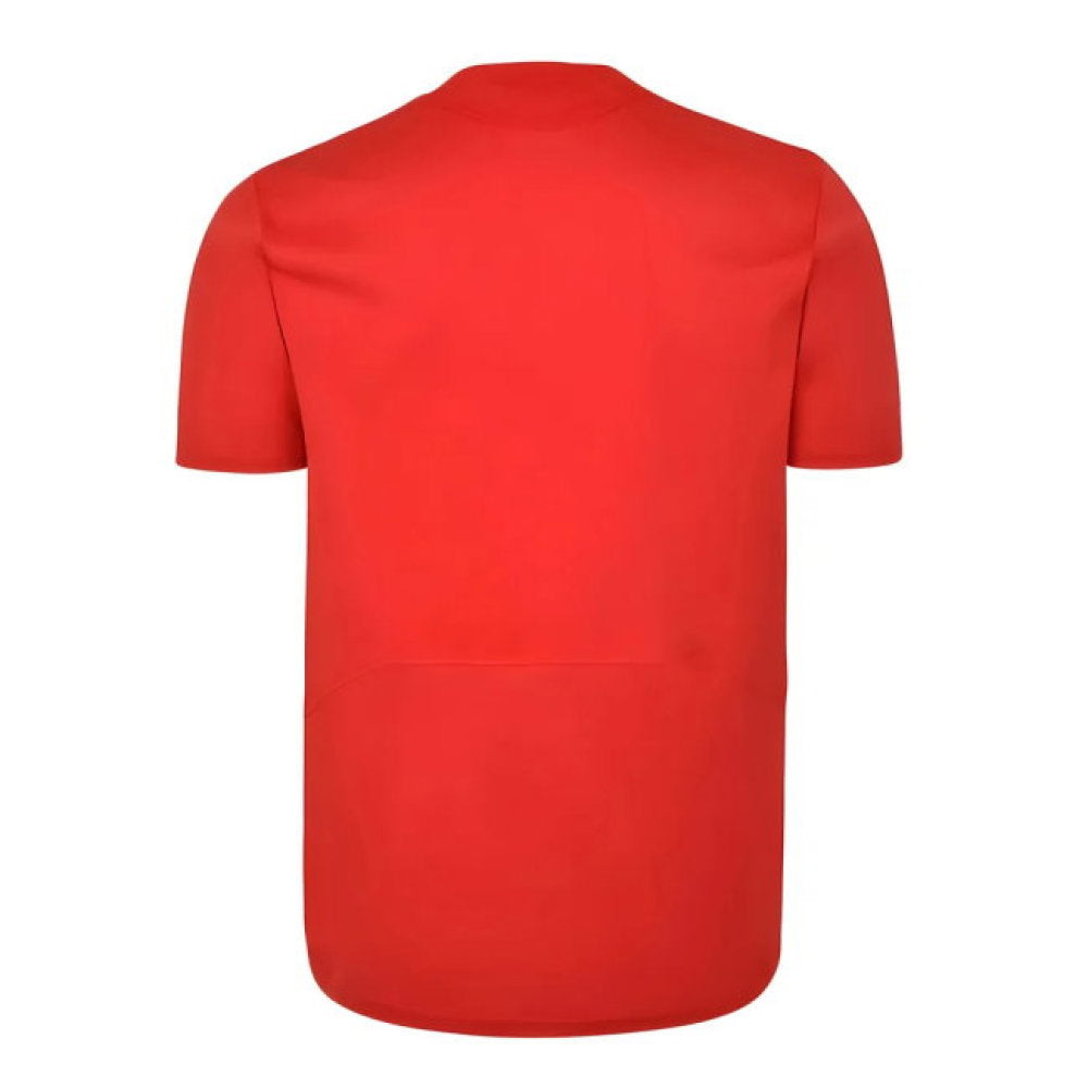 Liverpool FC 2005 Champions League Final Shirt (DIOGO J. 20)_6