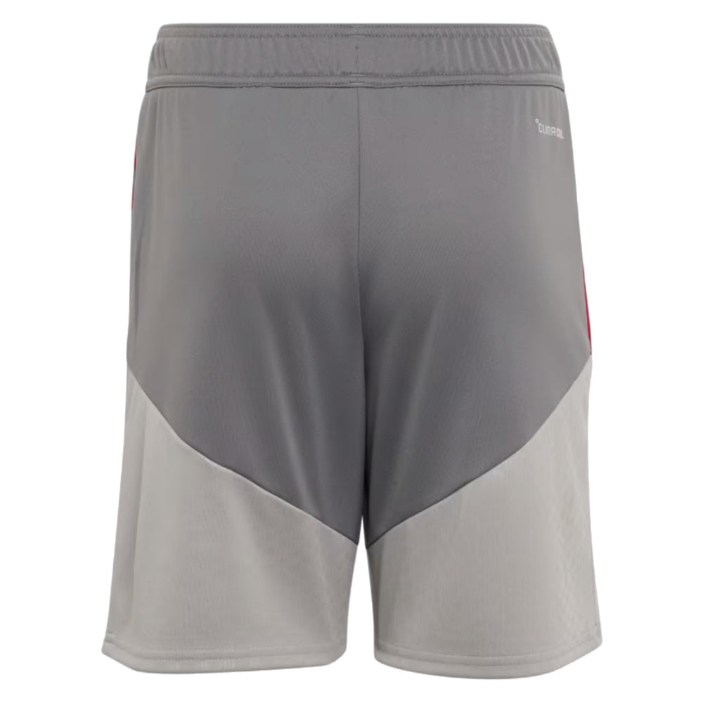 2026-2027 Liverpool EU Training Shorts (Grey) - Kids_1