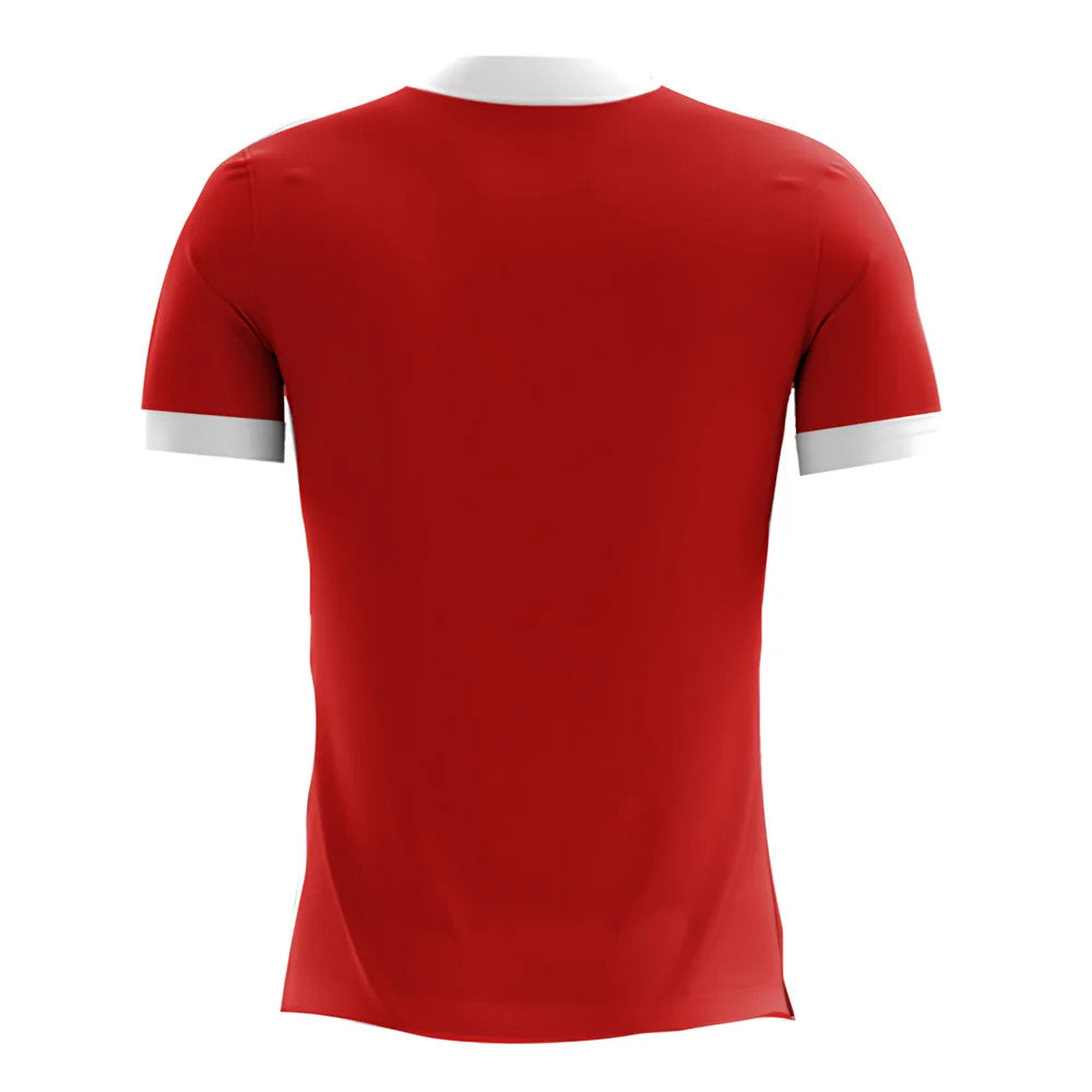 2025-2026 Peru Away Concept Football Shirt - Kids (Long Sleeve)_1