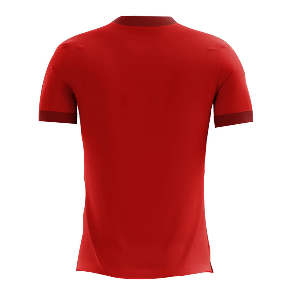 2025-2026 Egypt Home Concept Football Shirt (Kids)_1
