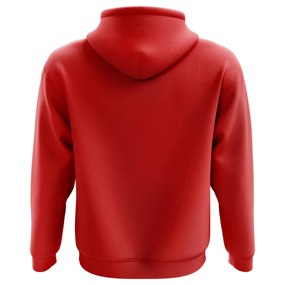 2025-2026 Denmark Home Concept Hoody (Kids)_1