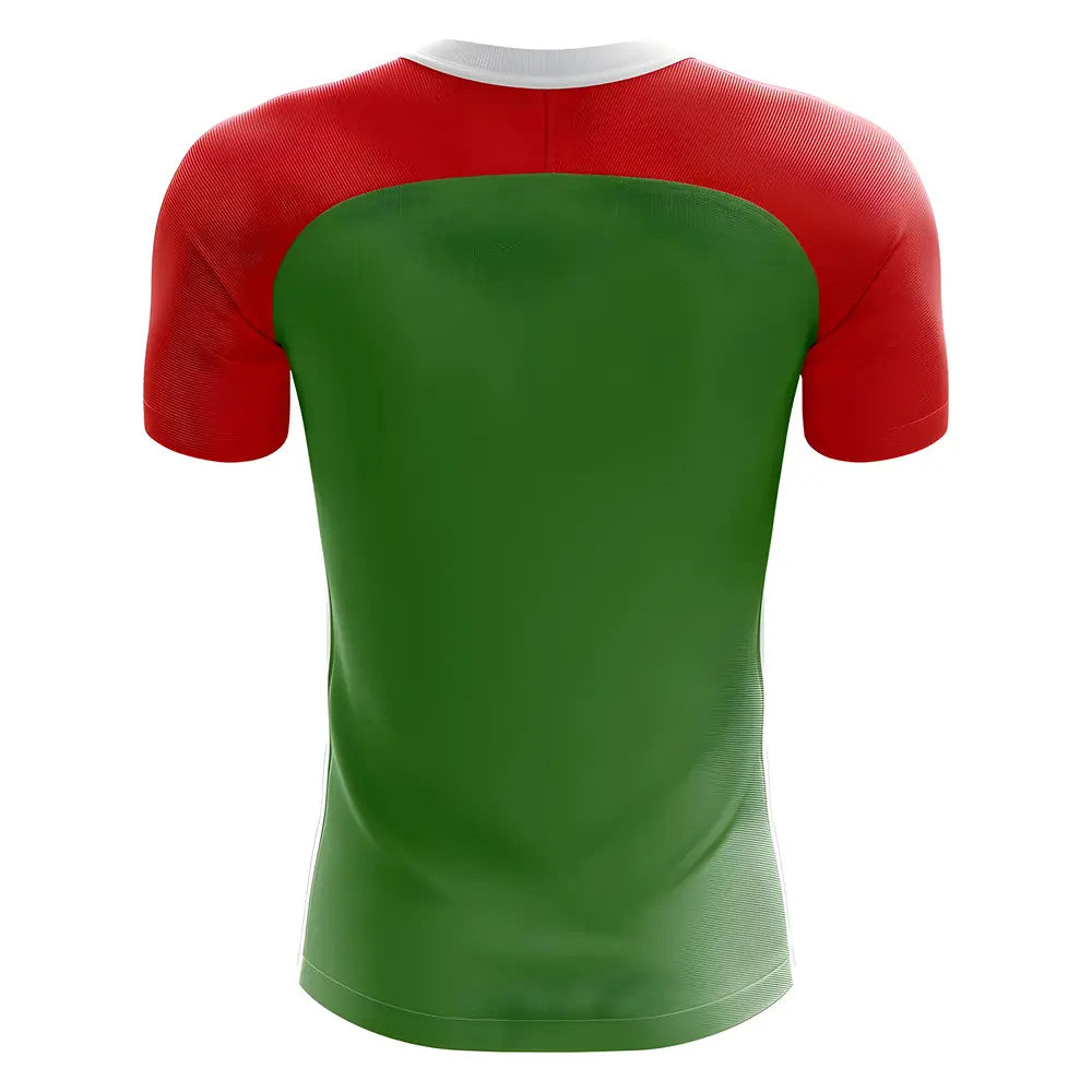 2025-2026 Abkhazia Home Concept Football Shirt - Kids (Long Sleeve)_1
