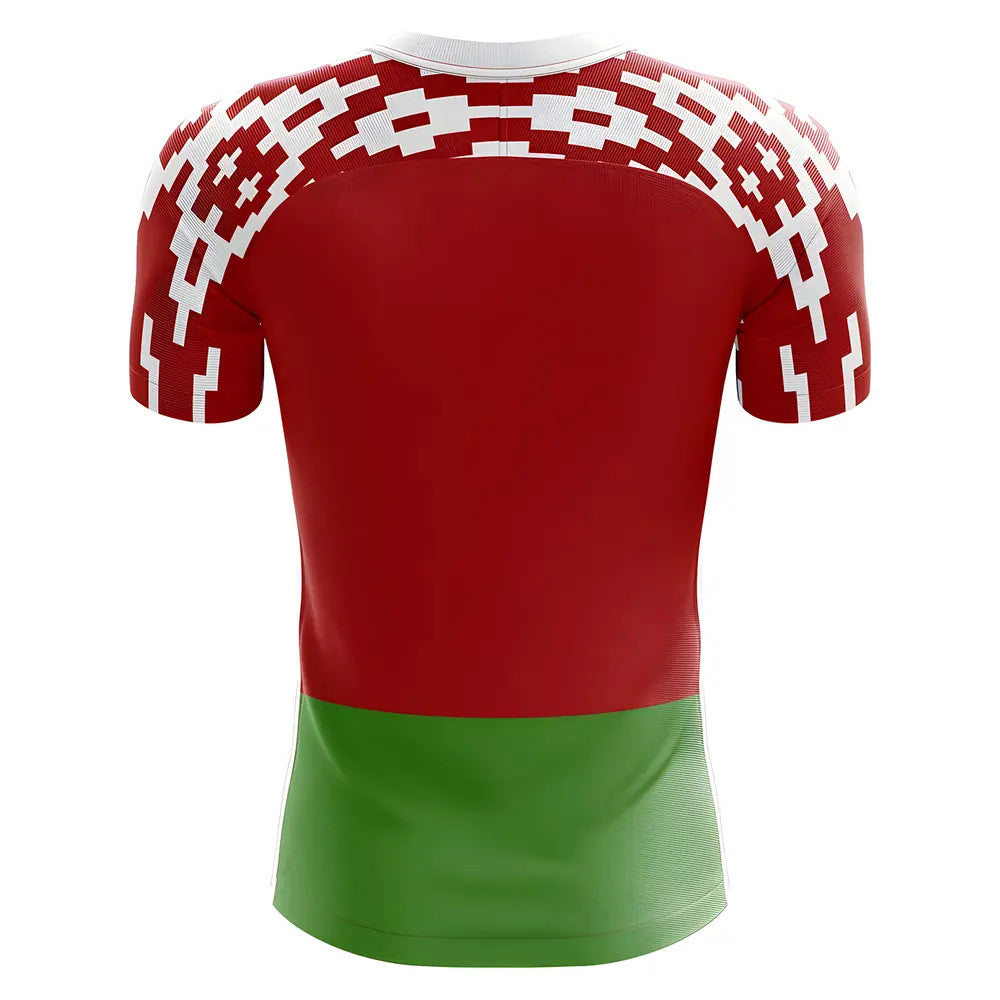 2025-2026 Belarus Home Concept Football Shirt - Kids (Long Sleeve)_1