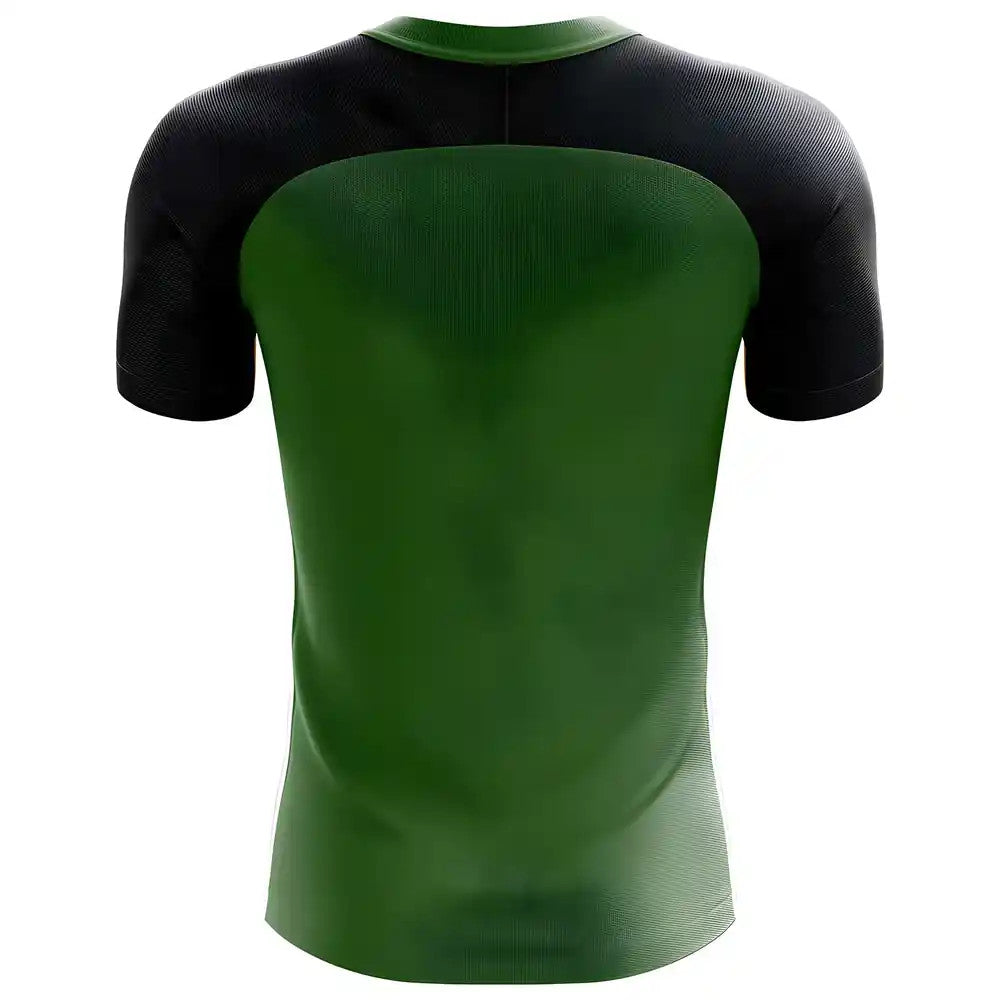 2025-2026 Algeria Flag Concept Football Shirt - Little Boys_1