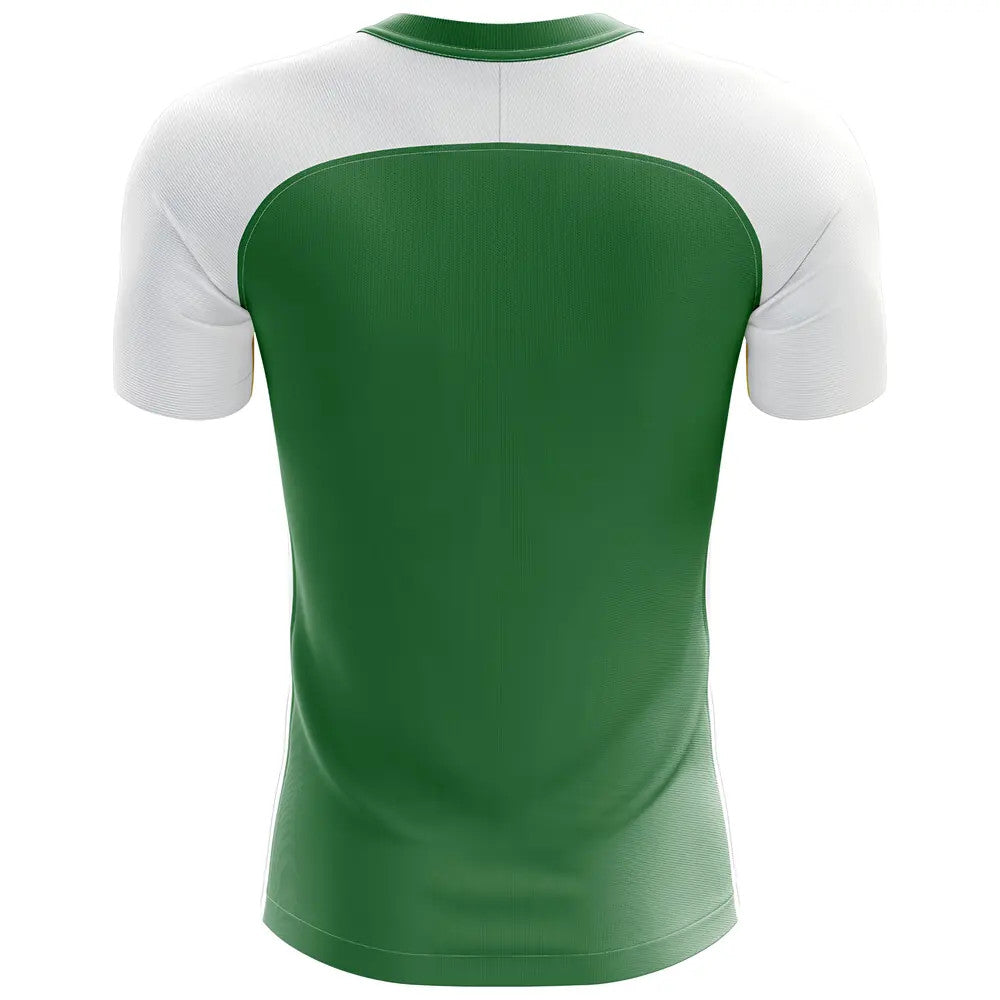 2025-2026 Nigeria Flag Home Concept Football Shirt - Kids (Long Sleeve)_1